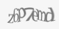 Защитный код