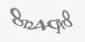 Защитный код