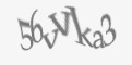 Защитный код