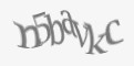 Защитный код