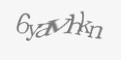 Защитный код