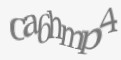 Защитный код