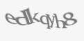 Защитный код