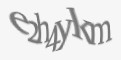 Защитный код