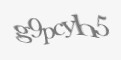 Защитный код