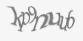 Защитный код