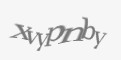 Защитный код