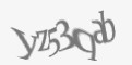 Защитный код