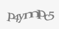 Защитный код