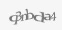 Защитный код