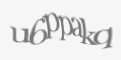 Защитный код