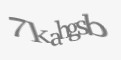Защитный код
