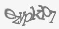 Защитный код