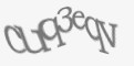 Защитный код