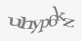 Защитный код