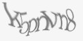 Защитный код