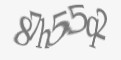 Защитный код