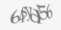 Защитный код