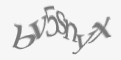 Защитный код