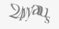 Защитный код