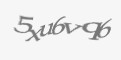Защитный код