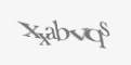 Защитный код