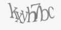 Защитный код