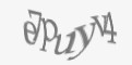 Защитный код