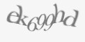 Защитный код