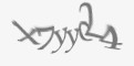 Защитный код