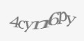 Защитный код
