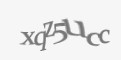 Защитный код