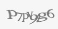 Защитный код