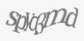 Защитный код