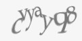 Защитный код