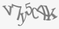Защитный код