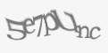 Защитный код