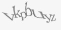 Защитный код