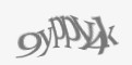 Защитный код