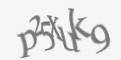 Защитный код