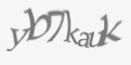 Защитный код
