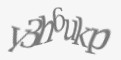 Защитный код