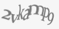 Защитный код