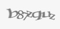Защитный код