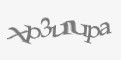 Защитный код