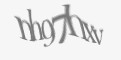 Защитный код