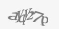 Защитный код