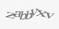 Защитный код