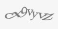 Защитный код