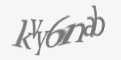 Защитный код